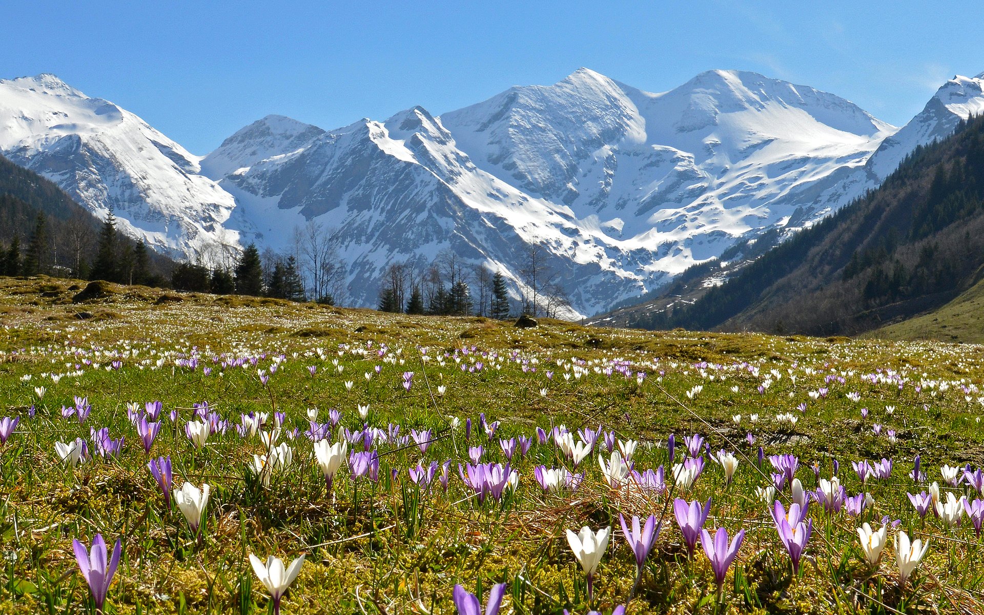 Frühling in der Region