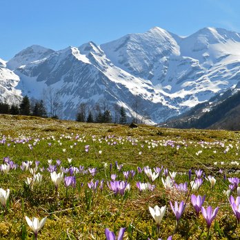 Frühling in der Region